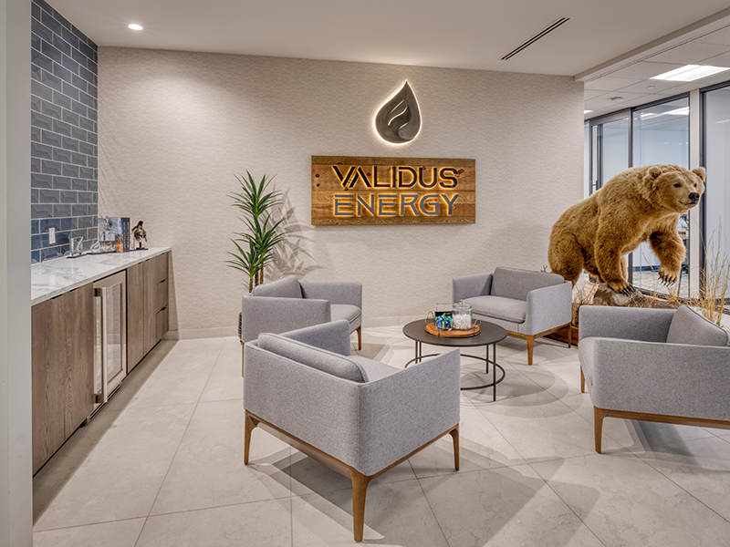 Validus-thumb